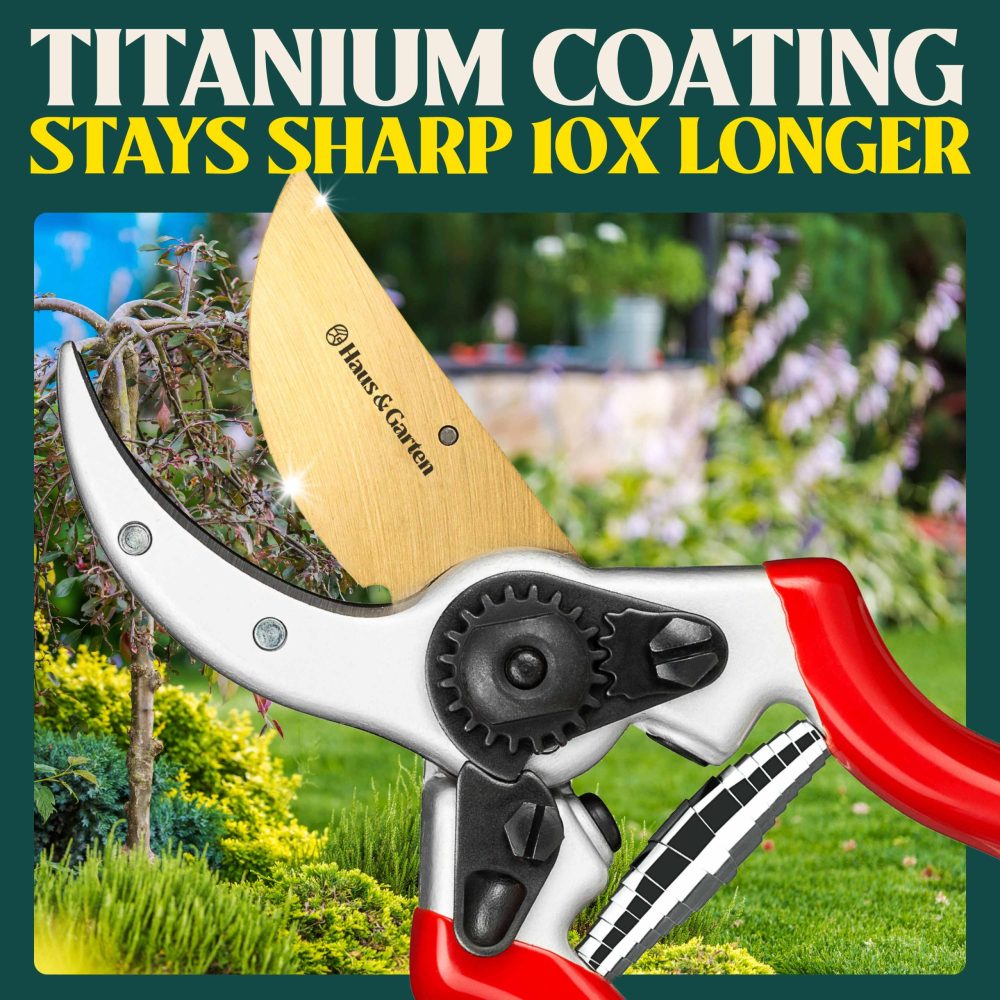 ClassicPRO Replacement Titanium Blade - Image 2