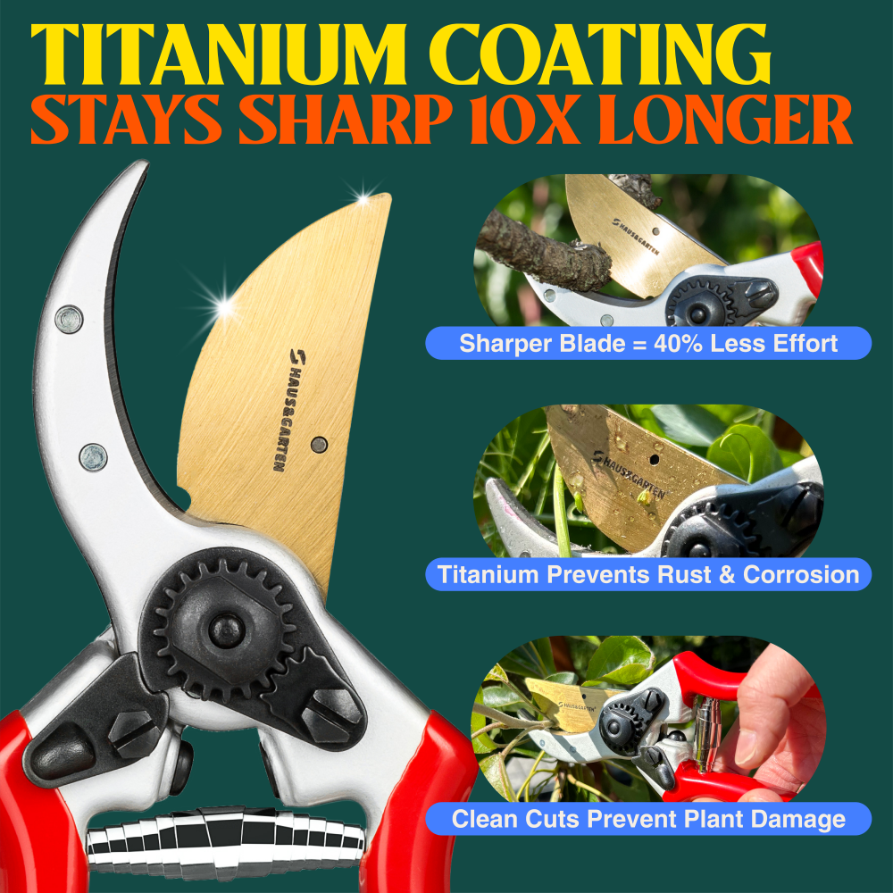 ClassicPRO Replacement Titanium Blade - Image 5