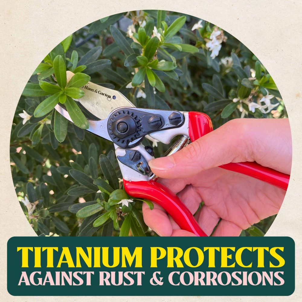 PrecisionPRO Replacement Titanium Blade - Image 3
